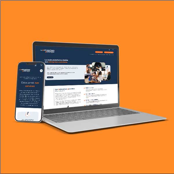 Création d'un site internet dédié aux entreprises contrôlées